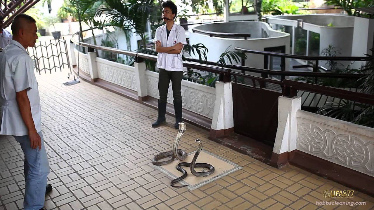 The Bangkok Snake Farm
